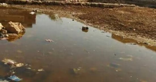 استجابة لـ"سيبها علينا".. مياه أسوان: تم التنسيق للحد من المياه الجوفية