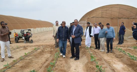 محافظ البحر الأحمر يتفقد المشروعات الزراعية بمنطقة وادى حوضين بالشلاتين