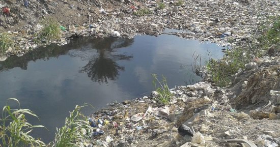 صور.. اضبط مخالفة.. مصرف البرادعة بالقناطر يهدد الأهالى بالفشل الكلوى