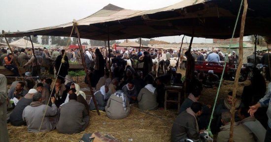 شكوى من إلغاء سوق شلشلمون التاريخى بالشرقية 
