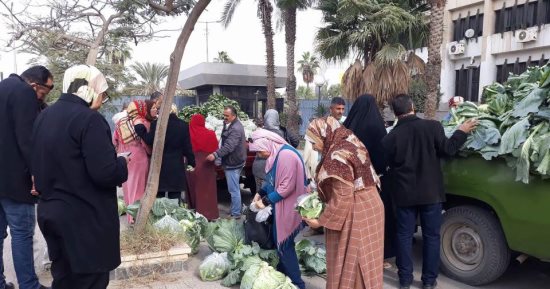 صور.. "زراعة القناه" تطرح منتجاتها بأسعار مخفضة لأهالى الإسماعيلية
