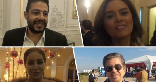 فيديو .. نجوم الفن يهنئون المصريين بالعام الجديد