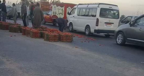 صور.. توقف حركة المرور بطريق بنها - المنصورة لانقلاب سيارة محملة بالطماطم