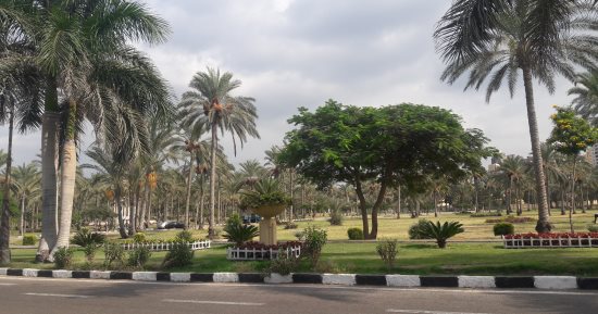 مصر تحتاج 58 مليون متر حدائق.. والإحصاء: يوجد 5.4 مليون فقط