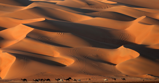 كيف سيغير الاحتباس الحرارى شكل الأرض بحلول 2050؟