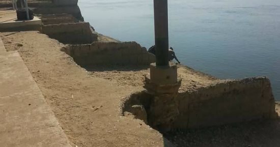 شكوى من تهالك أعمدة الكهرباء فى قرية الواسطى بأسيوط.. صور