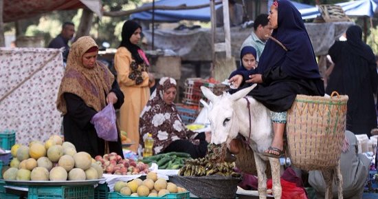 صورة اليوم.. عالم ستات مليان حكايات