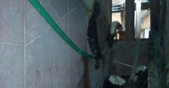 شاهد .. آثار حريق سلم الطوارئ بمبنى دار الكتب والوثائق