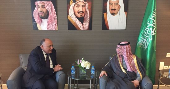 سامح شكرى لـ"الجبير": أمن البحر الأحمر جزء لا يتجزأ من الأمن القومى العربى