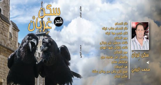 دار الجندى تصدر ديوان سكن غربان لمحمد الروبى