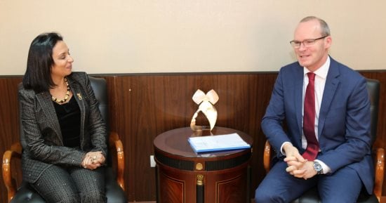 رئيسة القومى للمرأة تستقبل وزير الخارجية الأيرلندى للتعريف بأنشطة المجلس