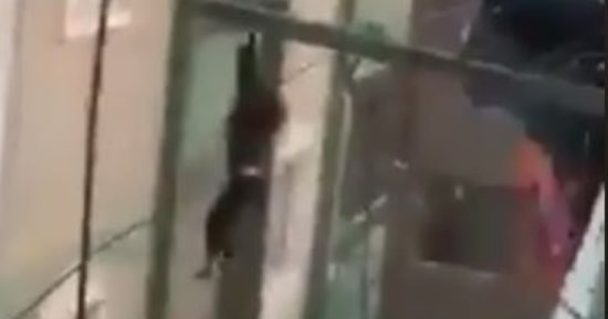 تداول فيديو لسقوط سيدة من الطابق السابع بحدائق المعادى بعد محاولة سرقتها