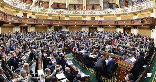 النائب على بدر فى طلب إحاطة: أنا مش شايف أى دور لوزير الرى ولا الوزارة