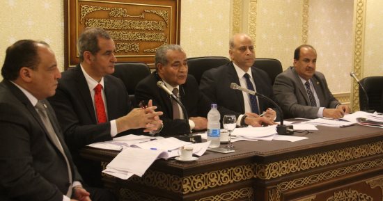 الرقابة المالية: نشر نشرة الاكتتاب فى صحيفة واحدة لخفض التكلفة 