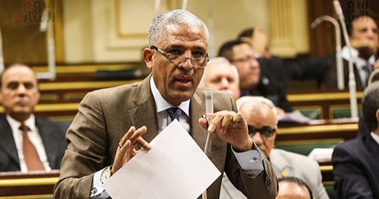 نواب يطالبون بتوفير وحدات قسطرة قلب بالمستشفيات وحل مشاكل المياه بالقرى (صور)