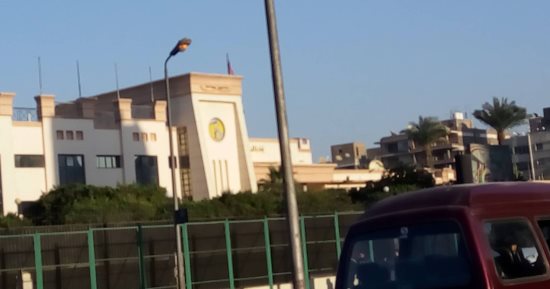 ترك أعمدة الكهرباء مضاءة نهارا فى شارع ابن الحكم بالزيتون رغم دعوات الترشيد