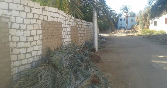 اضبط مخالفة.. تراكم مخلفات النخيل وسط المناطق السكنية بأحياء الداخلة