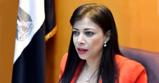 نواب: قانون الإفلاس ضرورى للاقتصاد.. وداليا خورشيد صاحبة الفكرة