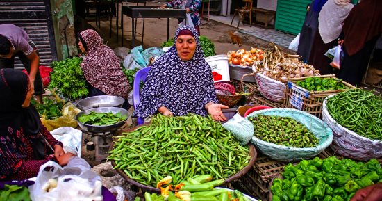 صورة اليوم.. إلى الست اللى شقيانة فى عز الضهر