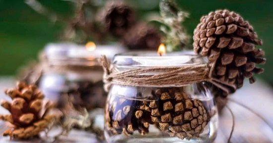 استخدم الطب البديل وعالج السعال والربو بالصنوبر