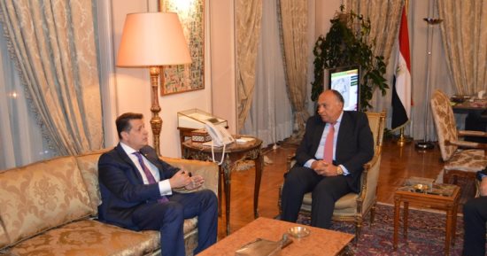 سامح شكرى يبحث مع رئيس "العلاقات الخارجية" بالبرلمان أجندة التعاون المشترك