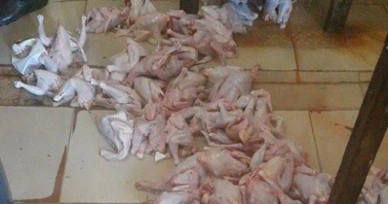 صور.. ضبط 225 كيلو لحوم ودواجن غير صالحة للاستهلاك الآدمى بكفر الشيخ