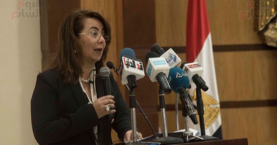 نواب الوادى الجديد: جهود كبيرة للتضامن فى دعم المشروعات الصغيرة 