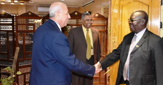 وفد وزارى من جنوب السودان يصل أسوان ويلتقى المحافظ والمستثمرين.. صور