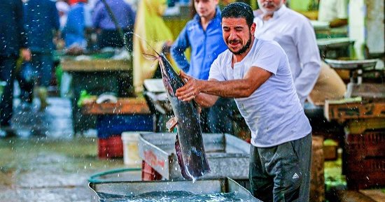صورة اليوم.. الرزق يحب الخفية