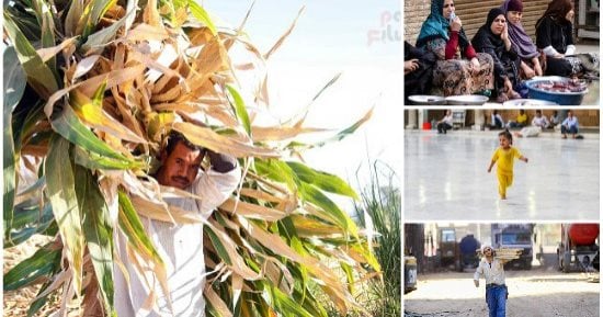 صور الشارع فى أسبوع.. ستات بلدنا قصة كفاح ملهاش نهاية.. عرق الفلاح بيروى الأرض والخير.. همة وعزم جنود مجهولين خلف التعمير والبناء.. الطفل الشقيان نسى طفولته عشان يجرى على رزقه. والصغيرة تمرح فى ساحة المسجد