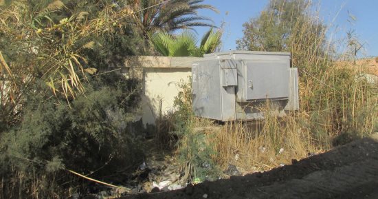 صور.. اضبط مخالفة.. محول كهرباء عزبة هاجوج ببورسعيد تحاصره الحشائش
