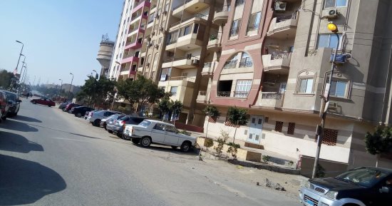 شكوى من ترك أعمدة الكهرباء مضاءة نهارا بشوارع سوق السيارات بمدينة نصر