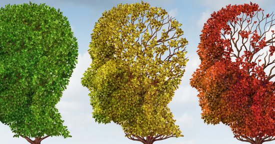 4 نصائح للحفاظ على صحة دماغك من الأمراض