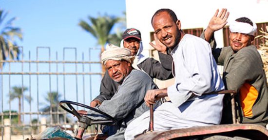 صورة اليوم.. ياللى بتاكلها بعرق جبينك وبشقاك اللى زرعته هيعلى وينور سماك