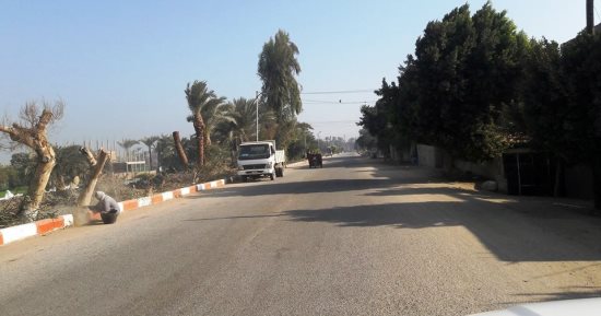 صور.. حملة نظافة وإنارة طريق قرية عرابة أبيدوس بسوهاج