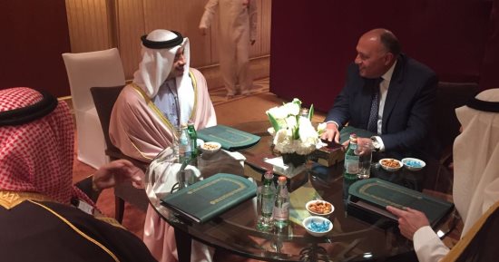 "الرباعى العربى" يؤكد التضامن الكامل فى مواجهة ممارسات قطر الاستفزازية