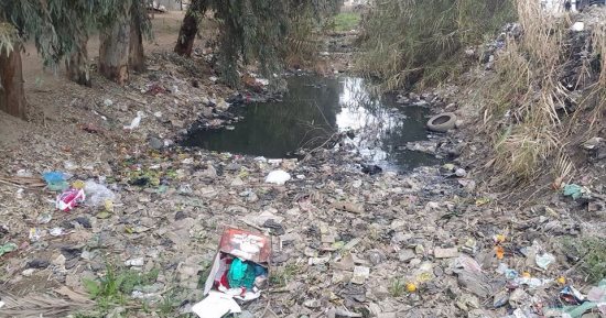 قارئ يطالب بتطهير مصرف قرية الجيار بمركز السادات المنوفية