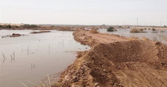 غرق أراض زراعية بسبب انهيار جسر صرف زراعى فى الداخلة