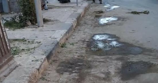 صور.. مخلفات الحيوانات تجتاح شوارع الأقصر وسط شكاوى المواطنين