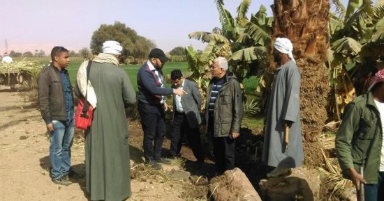 صور.. الزراعة تنفذ مشروعات للتكيف مع التغيرات المناخية بالصعيد 