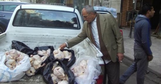 ضبط 250 كيلو دجاج فاسد داخل ثلاجة مطعم "شهير" بحى الضواحى فى بورسعيد
