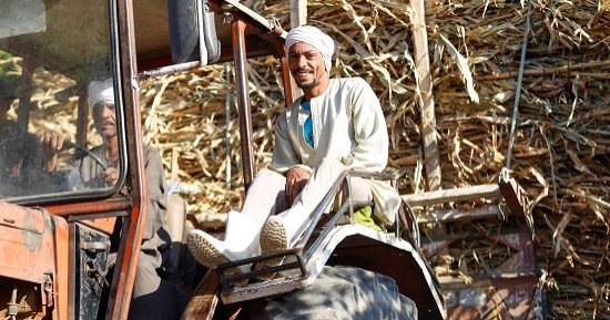 صورة اليوم... صوت طالع من المزارع يسبح للمولى ويزيد