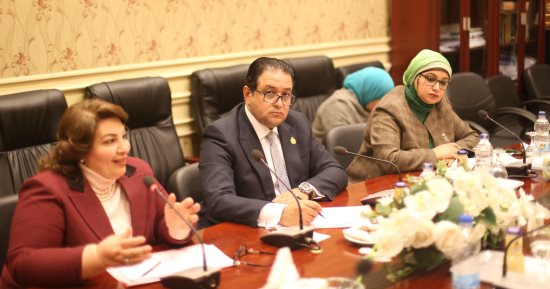 ننشر موازنة المجلس القومى لحقوق الإنسان للعام المالى الجديد 