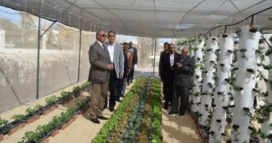 صور .. محافظ البحر الأحمر يفتتح صوبة مشروع زراعة الأسطح بحديقة الأسرة 