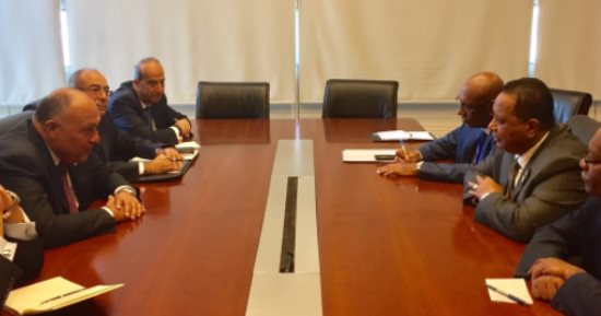 المتحدث باسم الخارجية: بدء مباحثات سامح شكرى ونظيره السودانى فى أديس أبابا