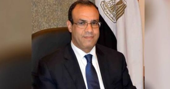 السفارة المصرية فى ألمانيا تنظم احتفالية بمناسبة "يوم أفريقيا"