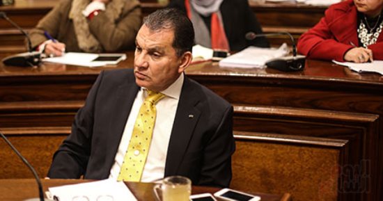 ممثل الثقافة أمام البرلمان يطالب بموازنة خاصة لتعزيز التوجه الثقافى بأفريقيا  (صور)