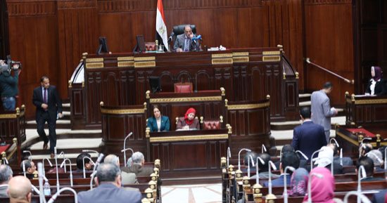 طبيب نفسى للنواب: يجب متابعة الشباب المفرج عنهم نفسيا لسهولة دمجهم بالمجتمع