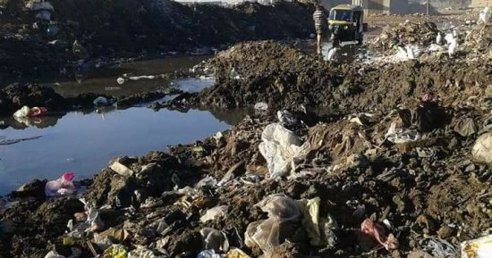 صور .. شكوى من تهالك طريق الطويل فى المنزلة بالدقهلية 