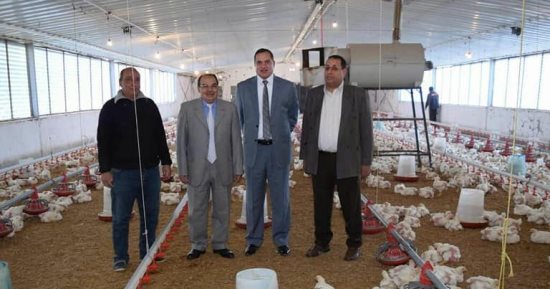 رئيس جامعة سوهاج يتابع إنتاج "مزرعة الدواجن" بمدينة الكوثر